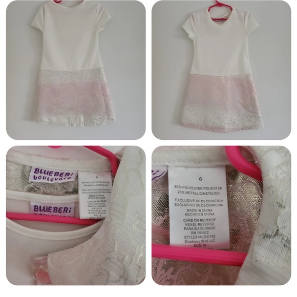 Blueberi Boulevard Girls Two-piece Dress Size 6 Embroidered Pink and Gold Floral - Picture 1 of 2